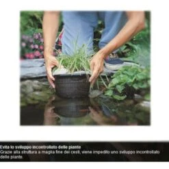 Multipack Da 10 Cesti Per Piante Acquatiche Pezzi 5 Rotondi E Pezzi 5 Quadrati Laghetto Magic -Giardino di Lusso 11741587 4