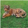 Decorazione Da Giardino Animali Tigre Del Bengala Centimetri 100 Arredo Giardino Laghetto Magic