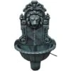 Fontana A Muro Design A Testa Di Leone VidaXL -Giardino di Lusso 1286018 1