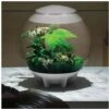 Oase Acquario Luminoso Biorb Halo 60 Litri Colore Bianco Con Luci A Led Bianchi