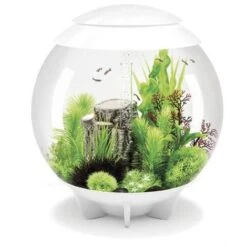 Oase Acquario Luminoso Biorb Halo 60 Litri Colore Bianco Con Luci A Led Bianchi -Giardino di Lusso 17944834 3
