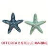 OFFERTA 2PZ DECORAZIONE STELLA MARINA IN CERAMICA 3X14X13.5 CM ASSORTITA ACCESSORI DECORO CASA -Giardino di Lusso 19778730 1