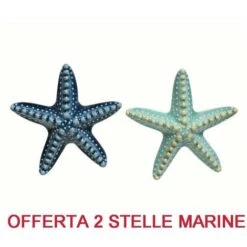 OFFERTA 2PZ DECORAZIONE STELLA MARINA IN CERAMICA 3X14X13.5 CM ASSORTITA ACCESSORI DECORO CASA