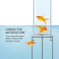 Blumfeldt Skydive 60 Torre Per Pesci 60 Cm Ø 20 Cm Acrilico Metallo Trasparente -Giardino di Lusso 22854578 3