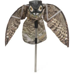 Grande Gufo Allontana Volatili