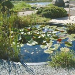 Pompa Di Aerazione Interna Air 2000 2000 L/h Ubbink -Giardino di Lusso 30336378 3