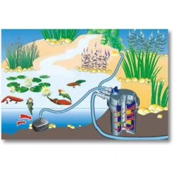 SunSun CPF-180 Filtro A Pressione Per Laghetto Con UVC Da 11 W Per 6.000 L -Giardino di Lusso 3296980 5