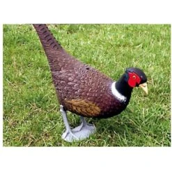 Decorazioni Animali Fagiano 869