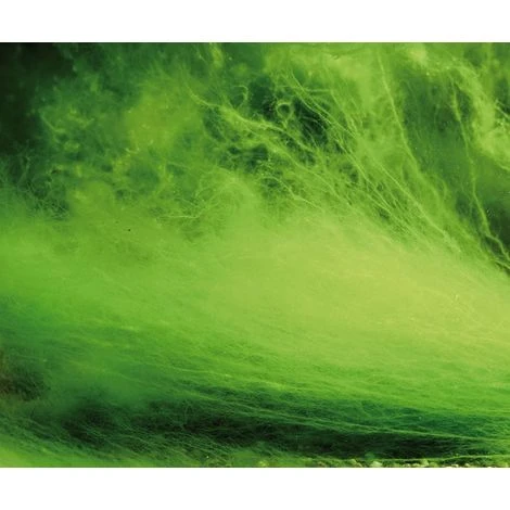 Antialghe Laghetto Sakura Algae STOP Powder 5 Kg 4 Antialghe Laghetto Sakura Algae STOP Powder 5 Kg - immagine 2