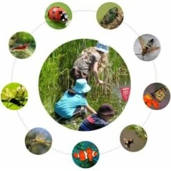 Guadino Da Spiaggia Per Bambini, Rete Per Farfalle Rete Da Pesca Per Bambini Telescopica Multicolore Guadino Per Farfalle Pesci Coccinella Lucciola Pubblica -Giardino di Lusso 69715151 3