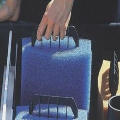 Oase Replacement Filter 35792, Bio Sponge By Smart, Blue, 8.2 X 18 X 19.7 Cm -Giardino di Lusso 70743258 3