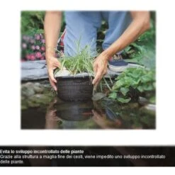 Multipack Da 5 Cesti Per Piante Acquatiche Rotondi Dimensioni 21,5 Cm Cadauno -Giardino di Lusso 7999057 3