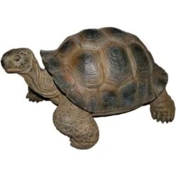 Tartaruga Gigante Delle Seychelles In Resina 30 Cm