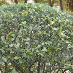 VIDAXL Set Di Reti Antiuccello 5 Pz 4x10 M Pe -Giardino di Lusso 90939833 3