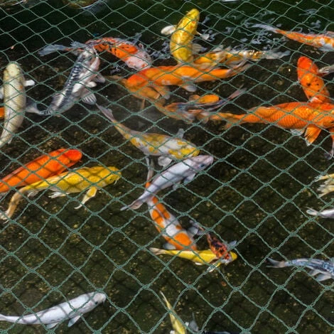 Randaco Rete Da Giardino Rete Anti Uccelli Verde Rete Di Protezione Proteggere Piante Frutta Fiori Alberi Allontana Gli Animali Rete A Maglia 2x5M 6 Randaco Rete Da Giardino Rete Anti Uccelli Verde Rete Di Protezione Proteggere Piante Frutta Fiori Alberi Allontana Gli Animali Rete A Maglia 2x5M - immagine 4