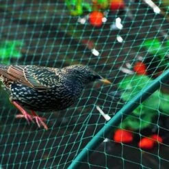 Randaco Rete Da Giardino Rete Anti Uccelli Verde Rete Di Protezione Proteggere Piante Frutta Fiori Alberi Allontana Gli Animali Rete A Maglia 2x5M 11 Randaco Rete Da Giardino Rete Anti Uccelli Verde Rete Di Protezione Proteggere Piante Frutta Fiori Alberi Allontana Gli Animali Rete A Maglia 2x5M -Giardino di Lusso 93288761 5