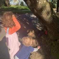 Porta Del Giardino Delle Fate Miniatura Albero Delle Fate Ornamento Porta D'ingresso Finestra Scultura Decorazione Albero Giardino Arte Cortile Scultura 1 Pezzo (Porta Ovale-Rosso) -Giardino di Lusso 93930884 5