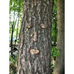 3D Tree Face Art Ornaments - Funny Old Man Face Sculpture - Decorazione Da Giardino -Giardino di Lusso 96233955 3
