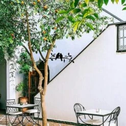 Uccelli Sul Ramo 30x12,5 Cm Decorazione Della Parete Di Arte Del Metallo Uccello Di Ferro Scultura Da Parete In Metallo Uccello Casa Giardino Decorazione Della Parete Di Arte All'aperto -Giardino di Lusso 98134231 3