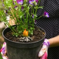 Gnomo Da Giardino Statua Mini Gnomo Da Giardino In Resina Umorismo Decorazioni Per Esterni Per Pala Meraviglioso Ornamento Regalo -Giardino di Lusso 98387698 2