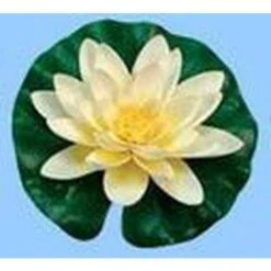 Lily Con Gocce D'acqua 14 Centimetri Giallo Ubbink