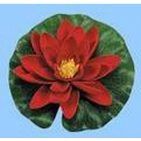 Lily Con Gocce D'acqua 14 Centimetri Rosso Ubbink 3 Lily Con Gocce D'acqua 14 Centimetri Rosso Ubbink